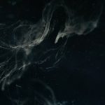 Проектор звездного неба с движением звезд: рейтинг